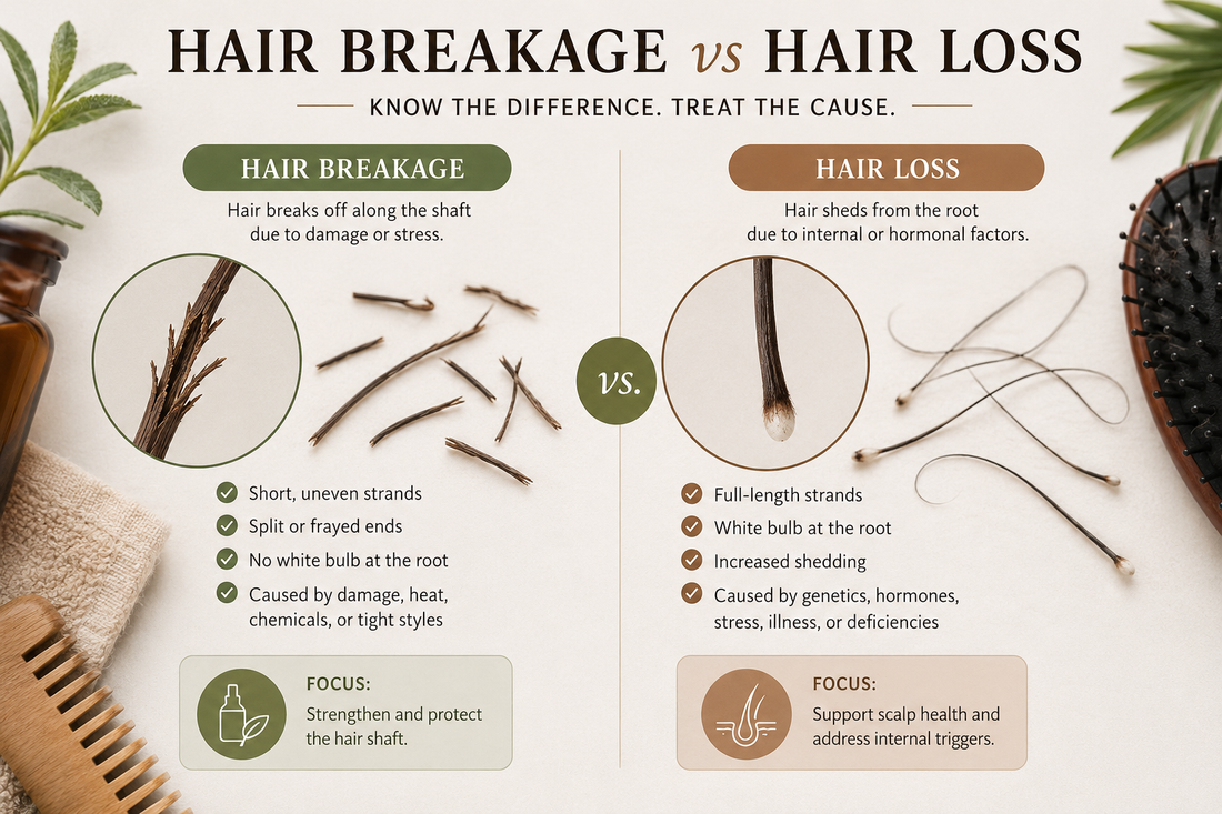The Difference Between Hair Breakage and Hair Loss