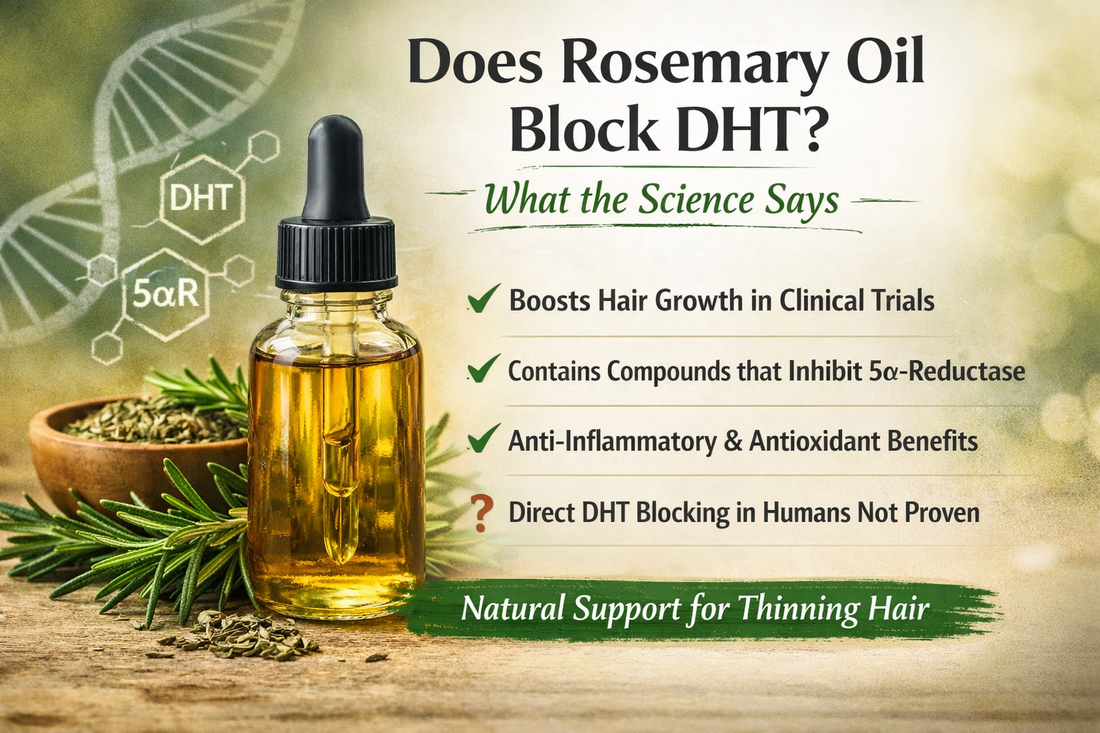 Does Rosemary Oil Block DHT? What the Science Says About Rosemary Oil for Hair Loss