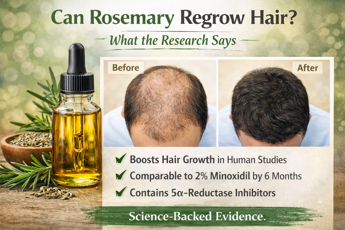 Can Rosemary Oil Really Regrow Hair?